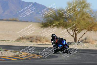 media/Feb-04-2023-SoCal Trackdays (Sat) [[8a776bf2c3]]/Turn 4 (Tree of Life 2pm)/